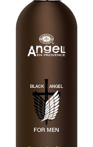 Angel Shampoo For Men Kuivadele Ja Normaalsetele Juustele
